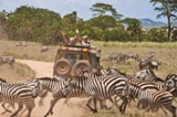 hamag.african.safari.jeep.Grand.Circle.emsm.T27666.jpg